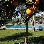 Taray Botanico 오르히바