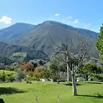 Taray Botanico 오르히바