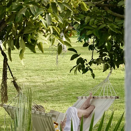 Taray Botanico Hotel