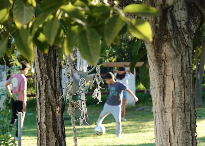 Hotel Taray Botanico 3*