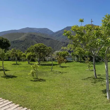 Taray Botanico