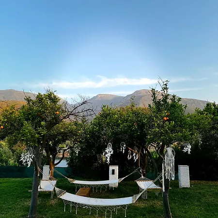 Taray Botanico 3*