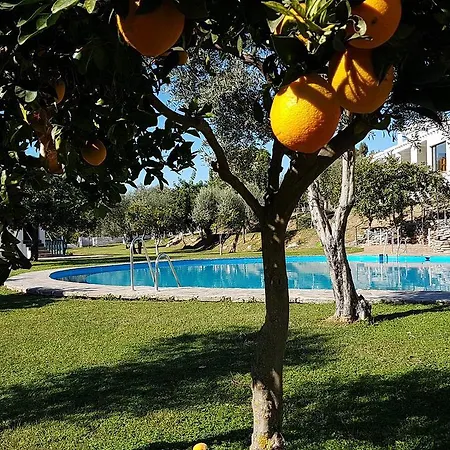 Taray Botanico Orgiva