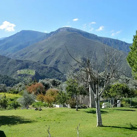 Taray Botanico Orgiva